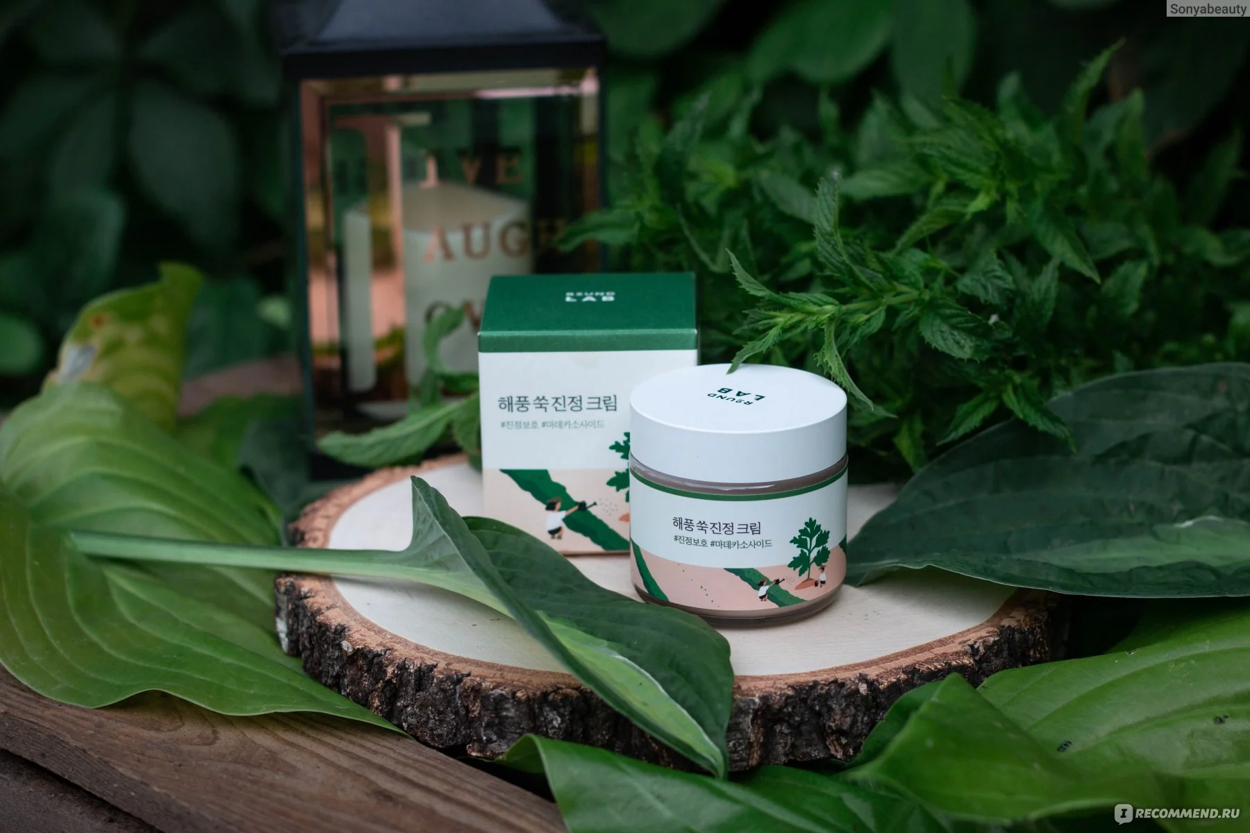 Round Lab - Mugwort Calming Cream - Nourishing Face Cream - 80ml - Image 2