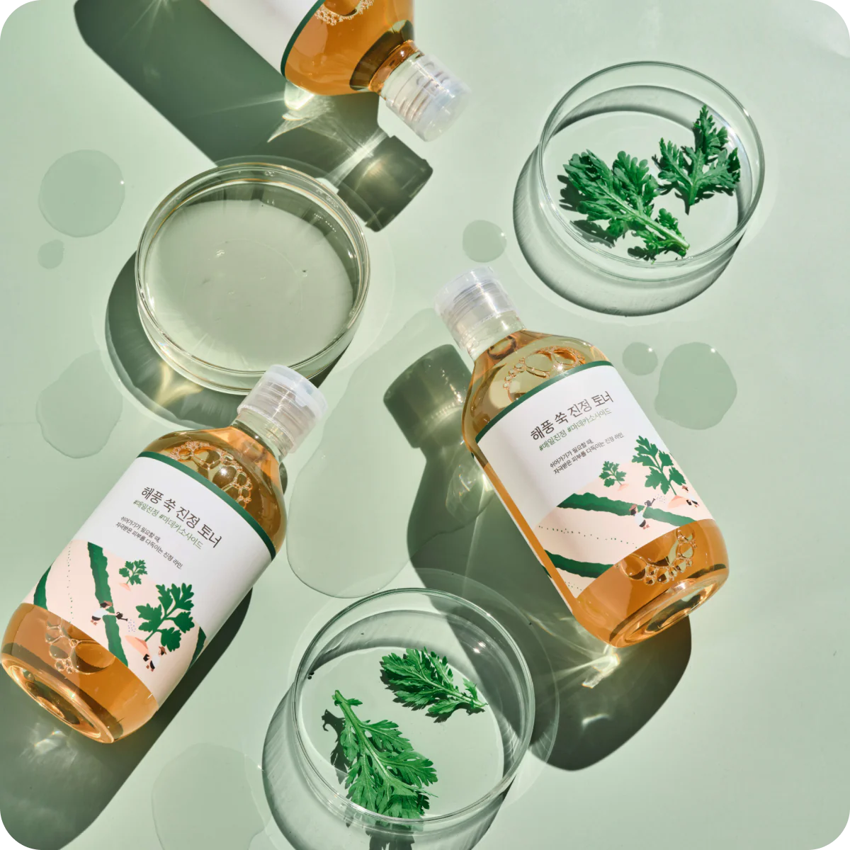 Round Lab - Mugwort Calming Toner - Moisturizing and Soothing Facial Toner - 300ml - Image 2