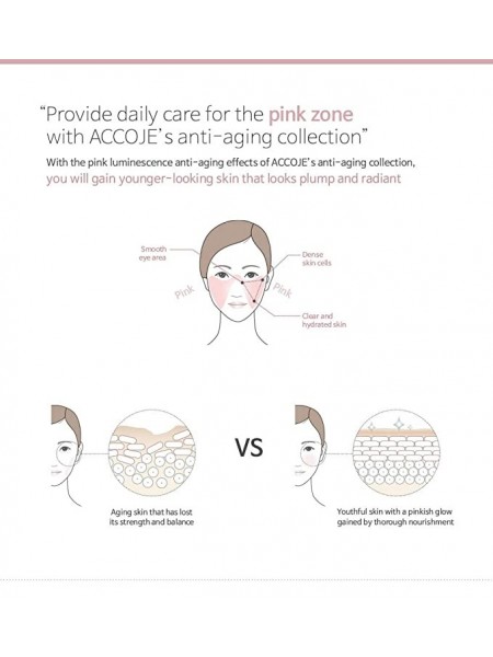 Accoje - Anti-Aging Intensive Ampoule 30ml - Image 2