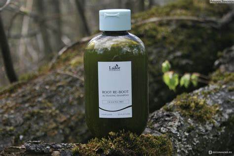 LADOR Root Re-Boot Activating Shampoo (Cica & Tea Tree) 300ml - Image 2